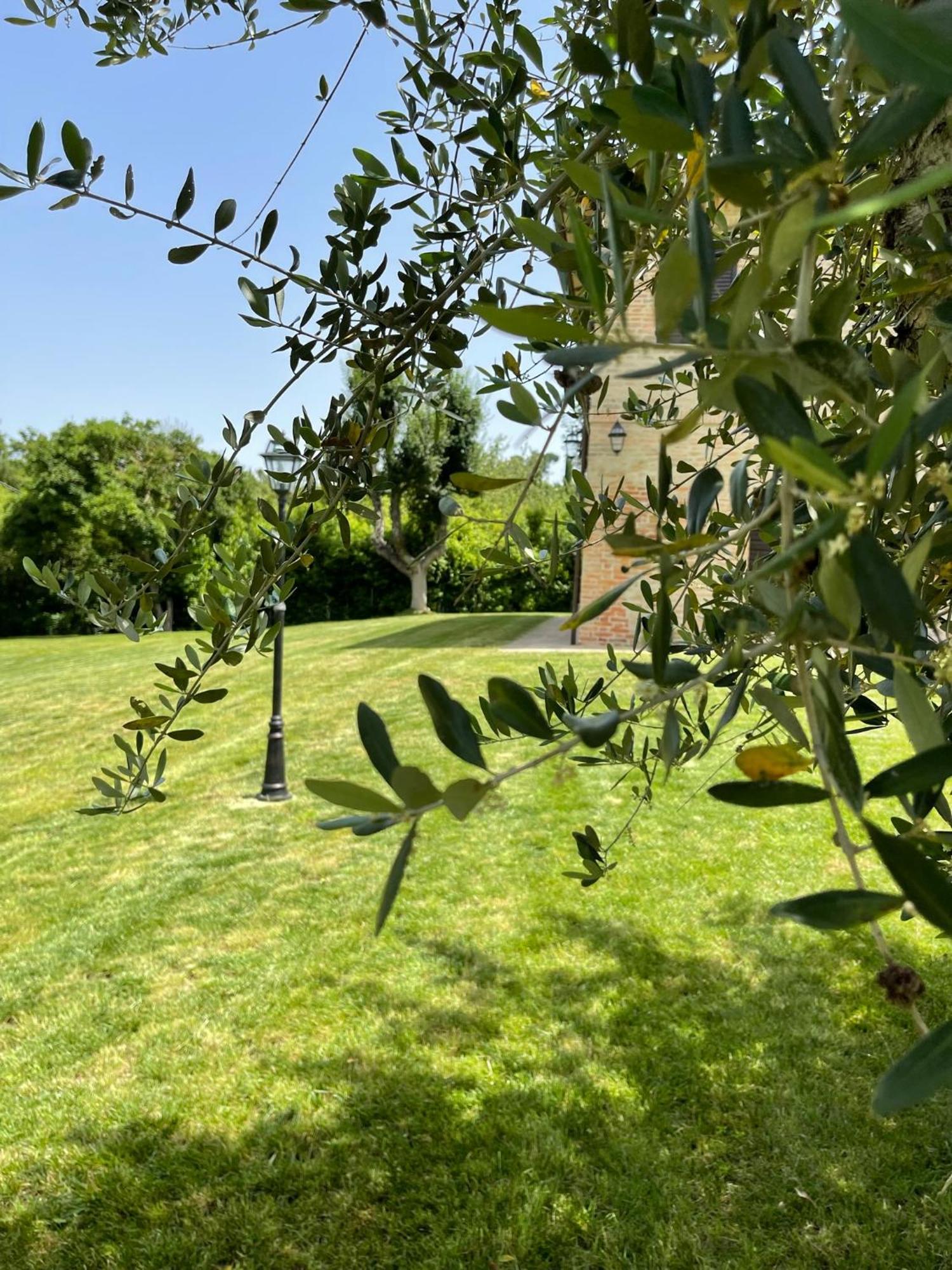 הוילה Montepulciano Stazione L' Aia Del Principe מראה חיצוני תמונה